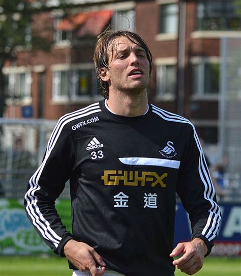 michu wikipedia